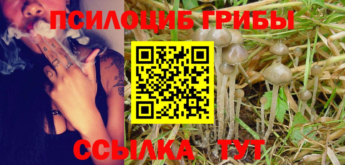 Псилоцибиновые грибы ЛСД Бузулук