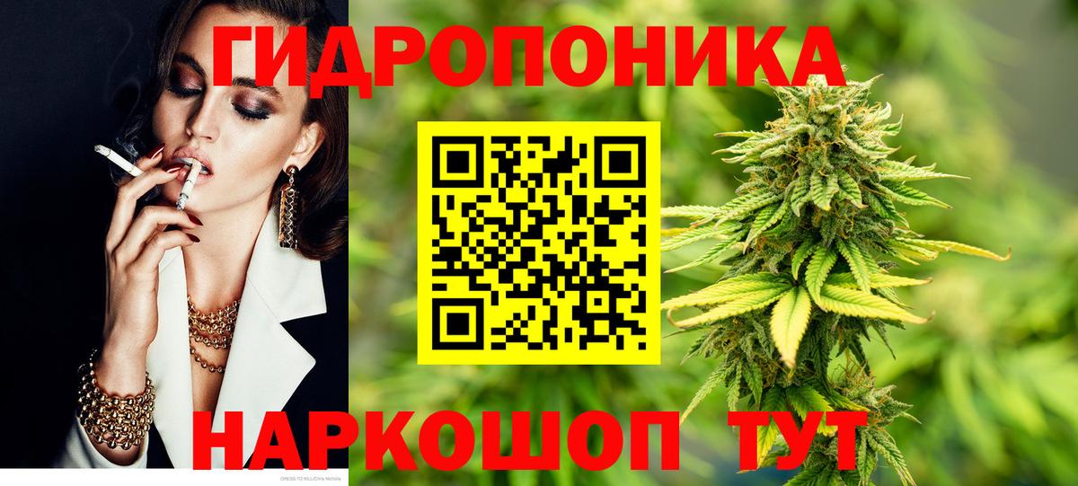 Каннабис сатива Бузулук